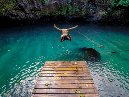 People climbing a bridge